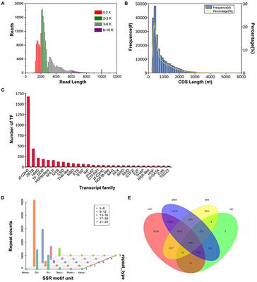 The combination of SMRT sequencing and Illumina sequencing highlights organ-specific and age-specific expression patterns of miRNAs in Sika Deer